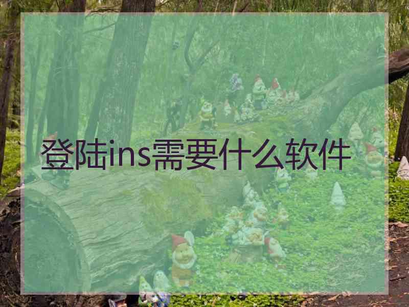 登陆ins需要什么软件