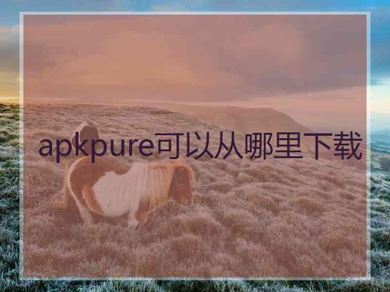 apkpure可以从哪里下载