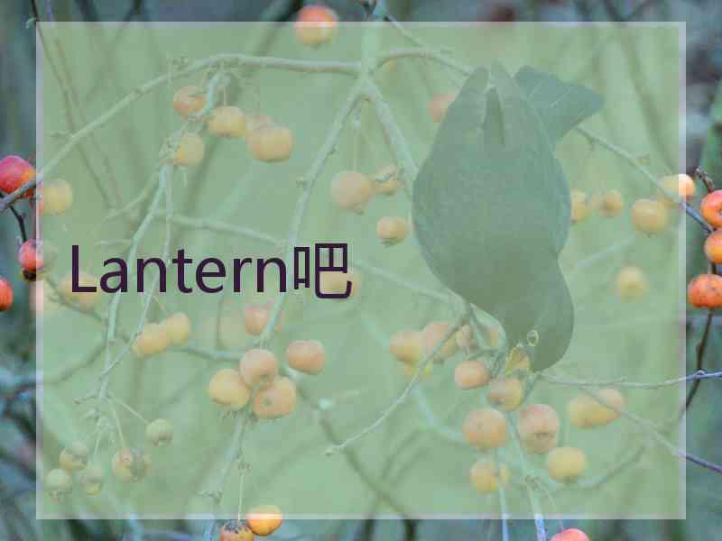 Lantern吧