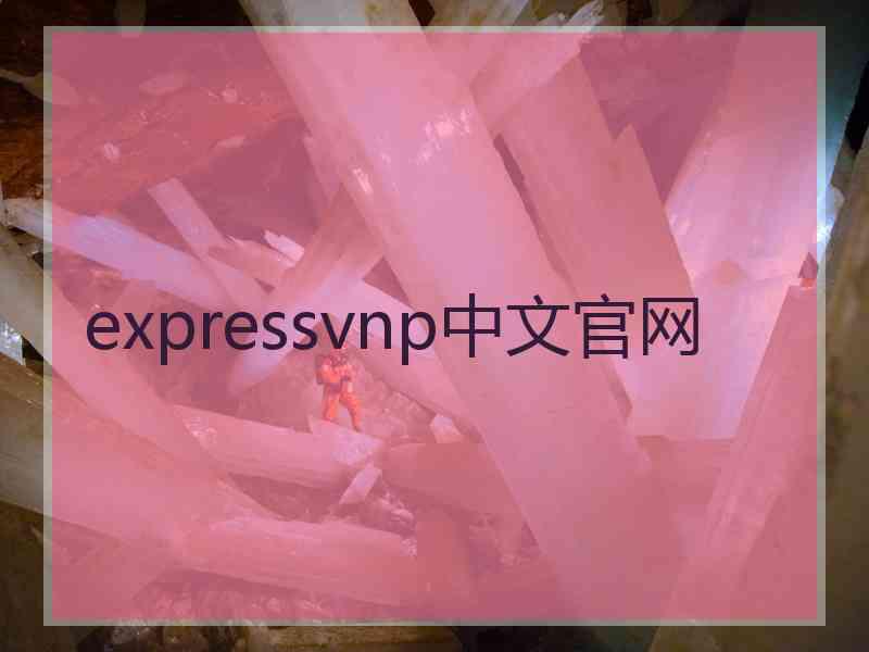 expressvnp中文官网