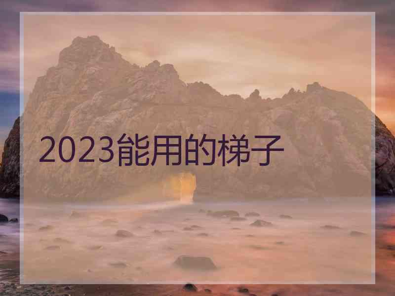 2023能用的梯子